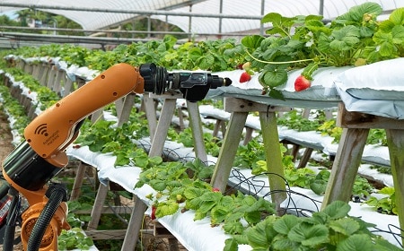 Digital Twin in Agriculture