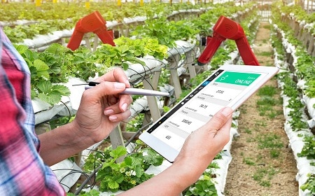 Digital Twin in Agriculture