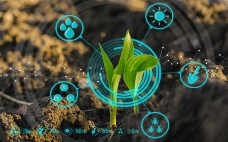 Digital Twin in Agriculture